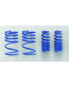 PROGRESSIVE LOWERING SPRINGS 