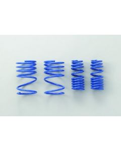 PROGRESSIVE LOWERING SPRINGS 