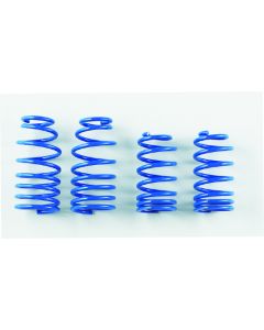 PROGRESSIVE LOWERING SPRINGS 