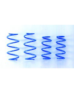 PROGRESSIVE LOWERING SPRINGS 